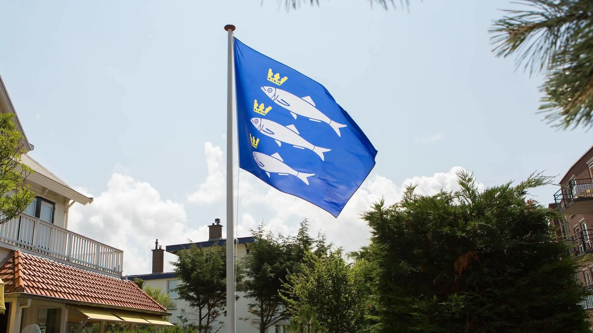 *** Nocleg ze śniadaniem B & B Villa Suisse Haga Holandia