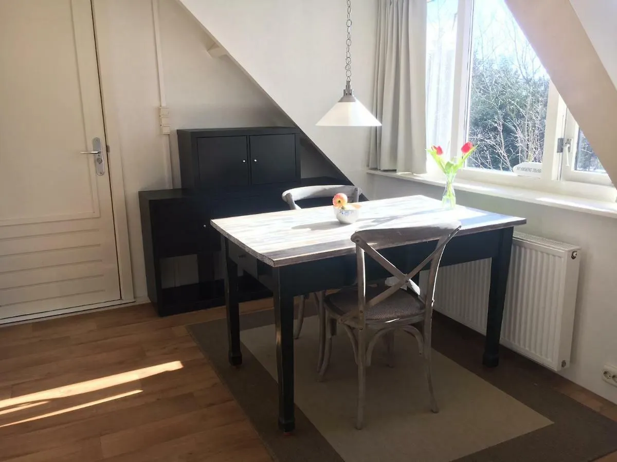 Nocleg ze śniadaniem B & B Villa Suisse Haga